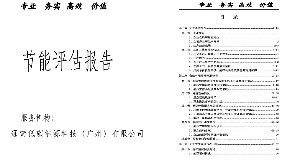广东省能源局关于东太染业（中山）有限公司年产印染针织布料2.8万吨项目节能报告的审查意见